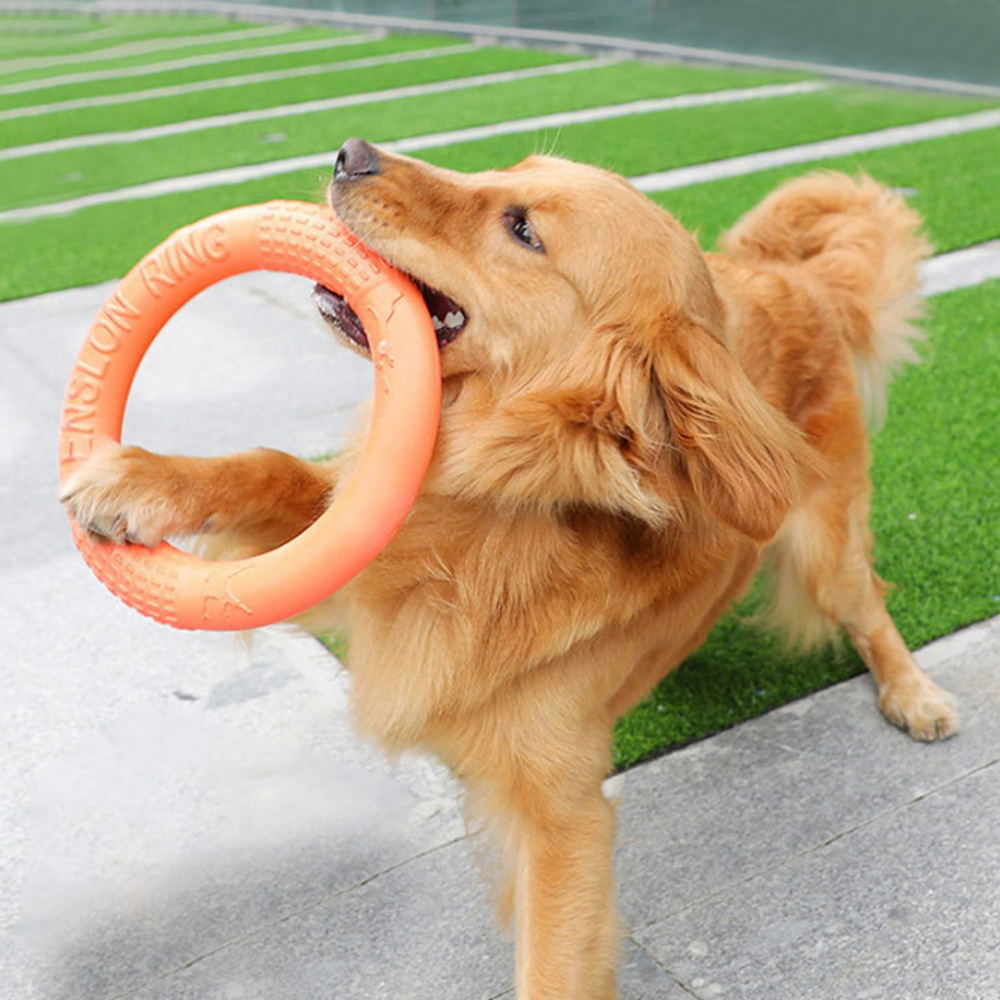 1pc Orange Dog Toys Pet Flying - Suction Cup Dog Tug Toy recension och pris