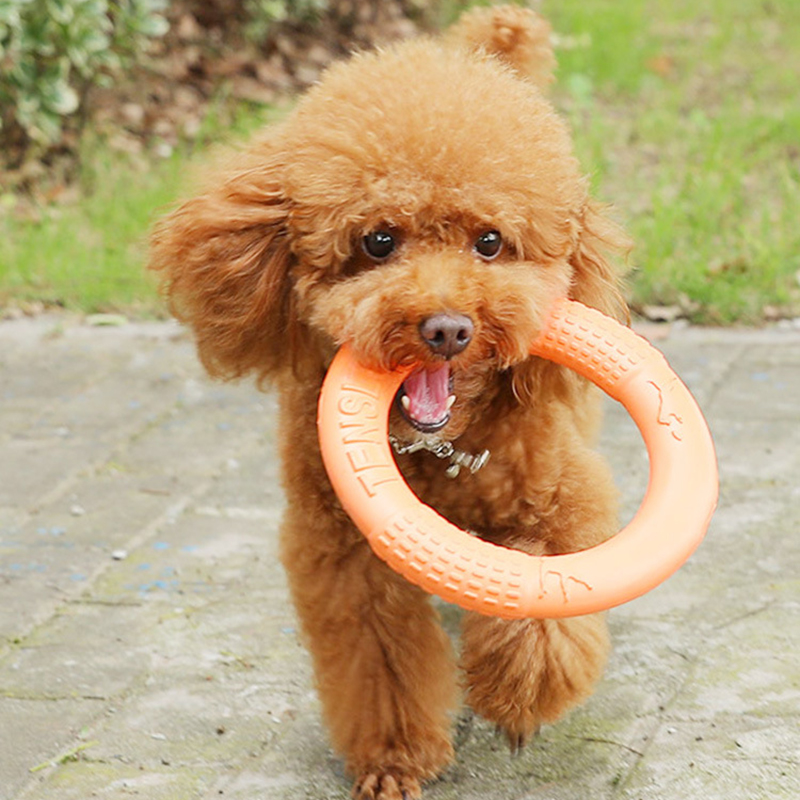 1pc Orange Dog Toys Pet Flying - Suction Cup Dog Tug Toy recension och pris