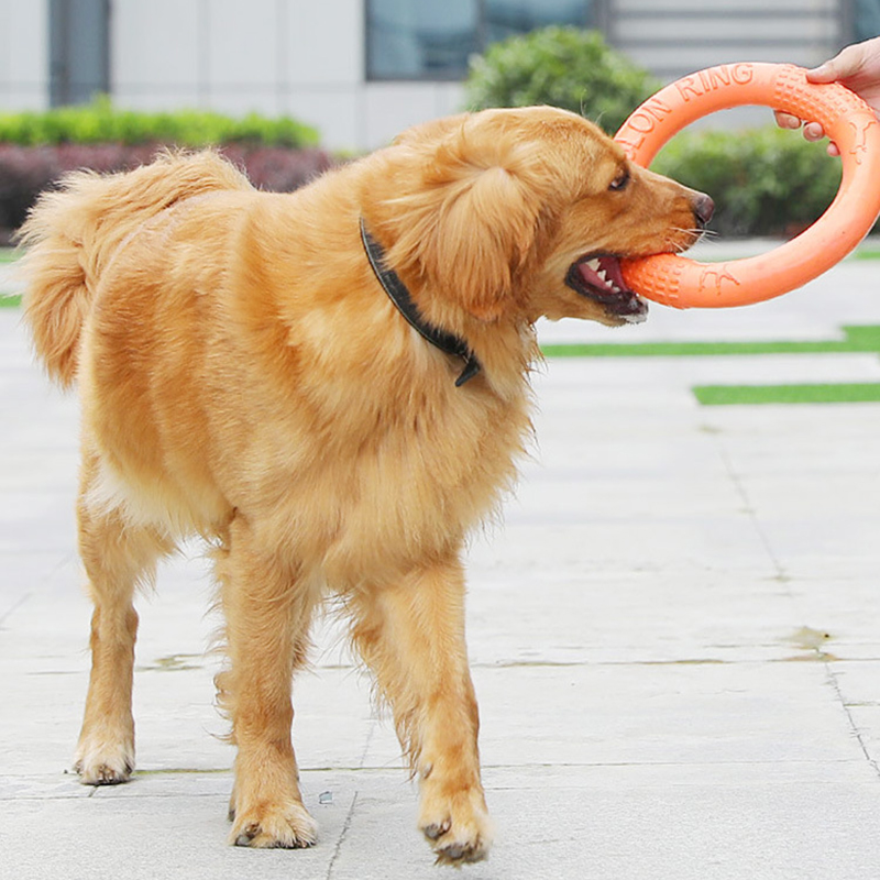 1pc Orange Dog Toys Pet Flying - Suction Cup Dog Tug Toy recension och pris