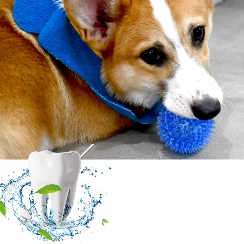 Pet Toy Ball for Cats And Dogs - Interactive Squeaky Plush Dog Toy recension och pris