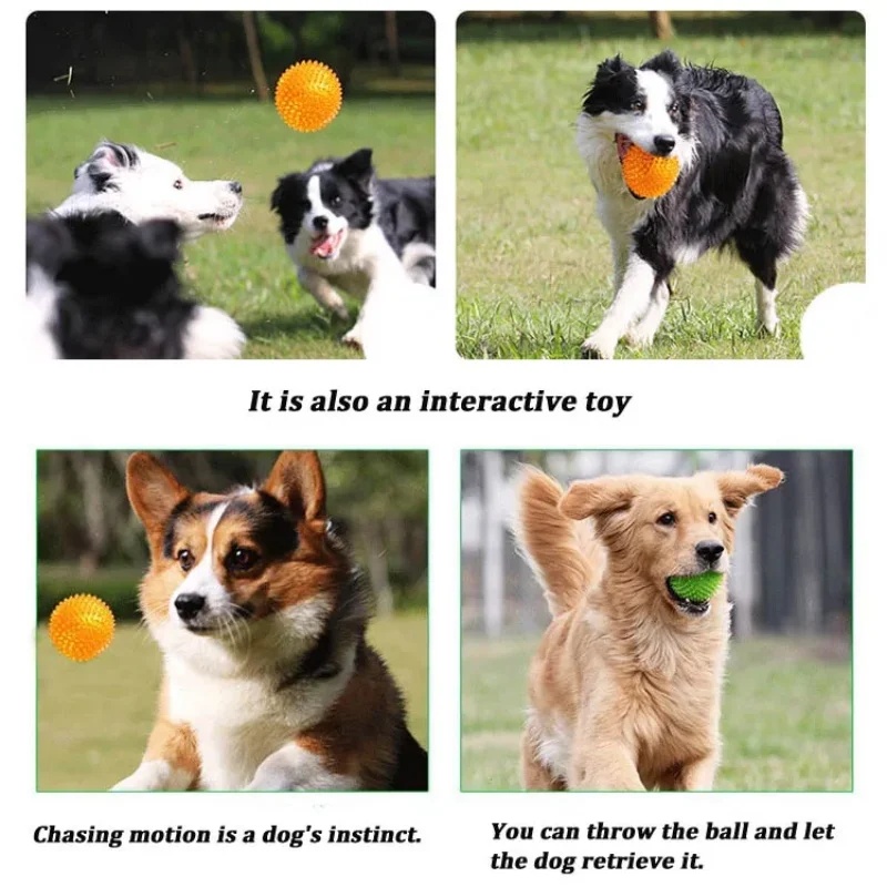 TPR Squeaky Pet Dog Chew Thorn - Interactive Squeaky Plush Dog Toy recension och pris