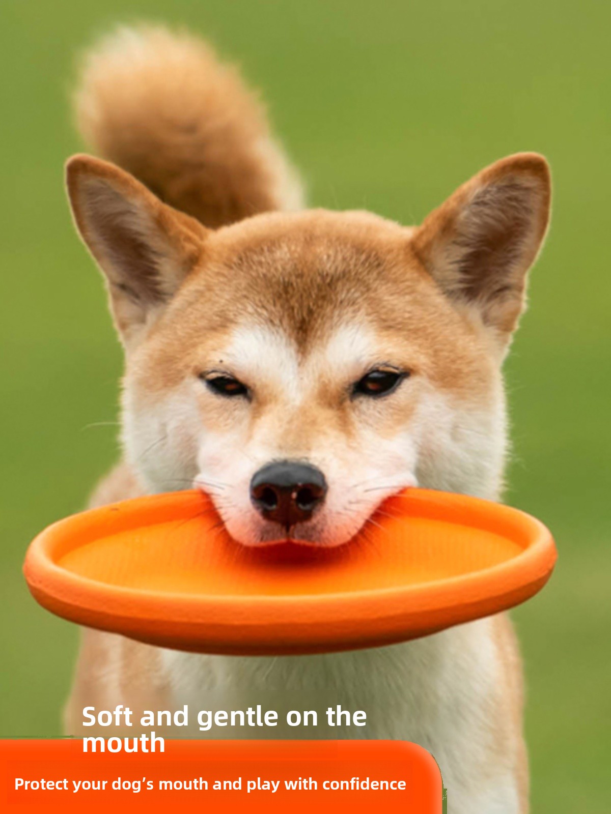 Dog Flying Disc Soft Durable B - Flying Disc Dog Training Toy recension och pris