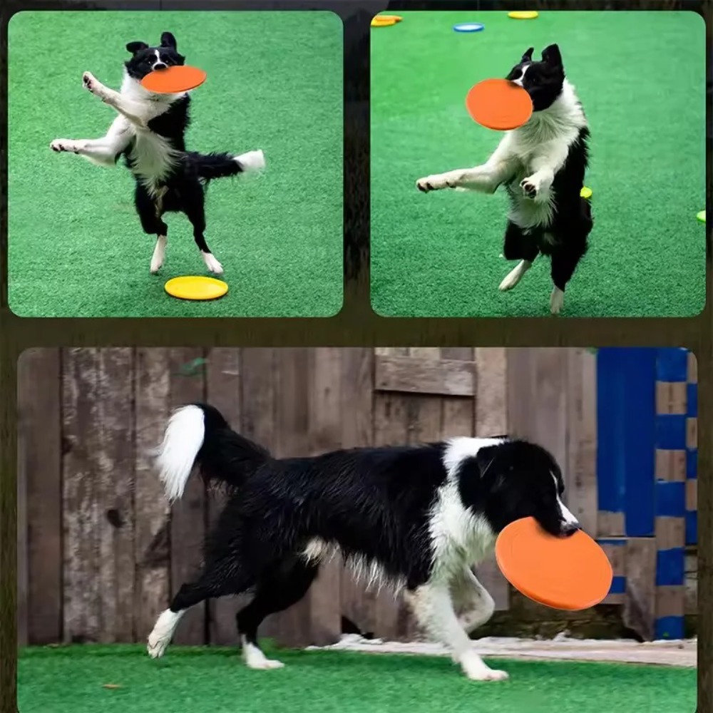 Dog Flying Disc TPR Pet Toy In - Flying Disc Dog Training Toy recension och pris