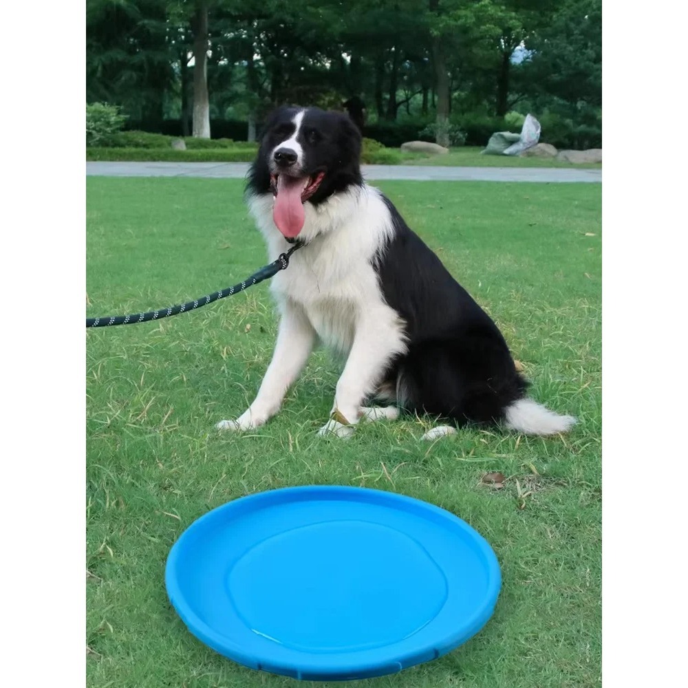 Dog Flying Disc TPR Pet Toy In - Flying Disc Dog Training Toy recension och pris