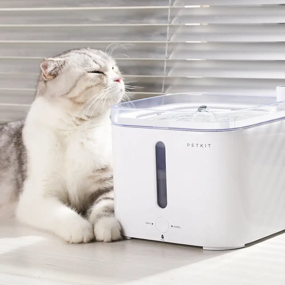 CANBOUN EVERSWEET Series Pet S - Pet Feeders recension och pris