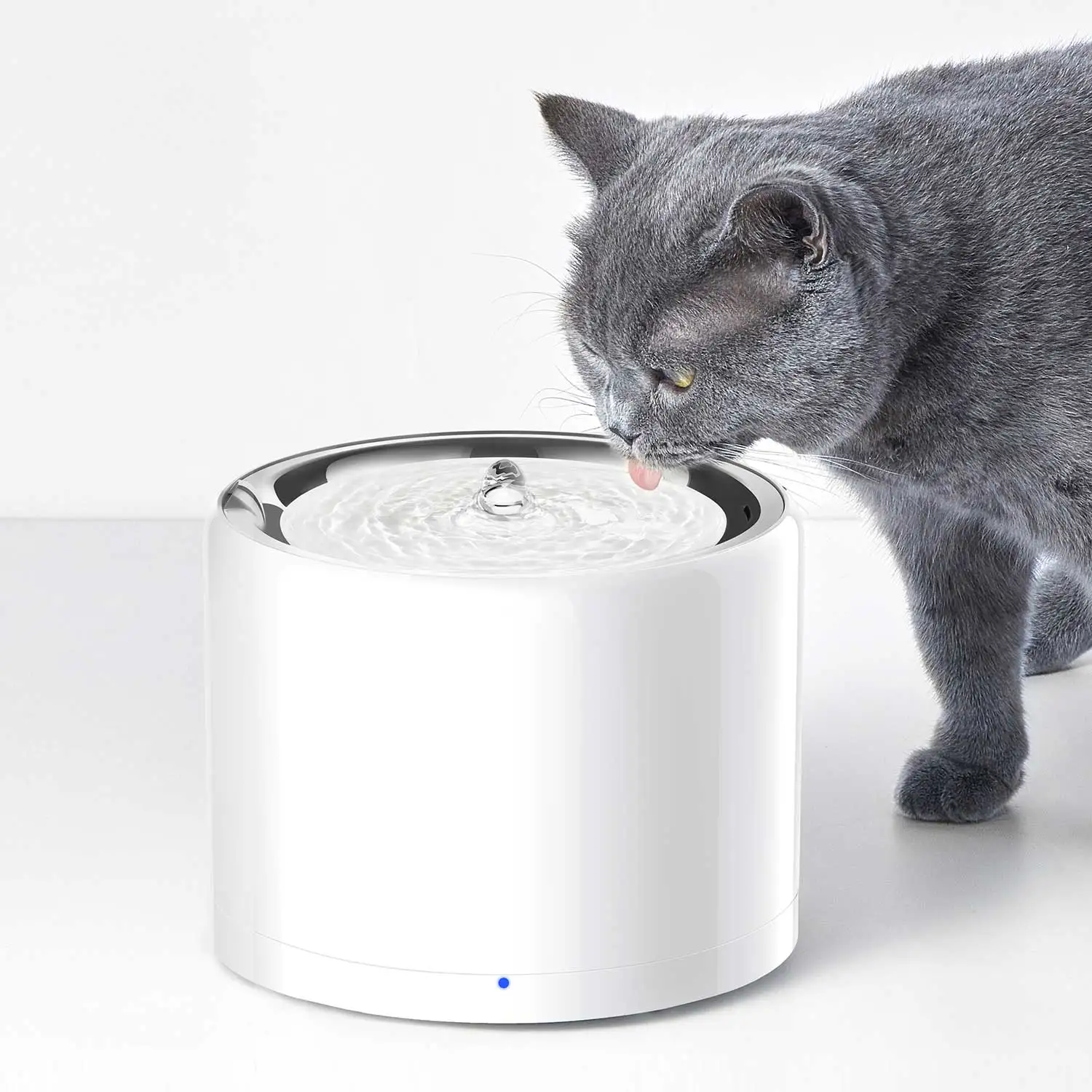 CANBOUN EVERSWEET Series Pet S - Pet Feeders recension och pris