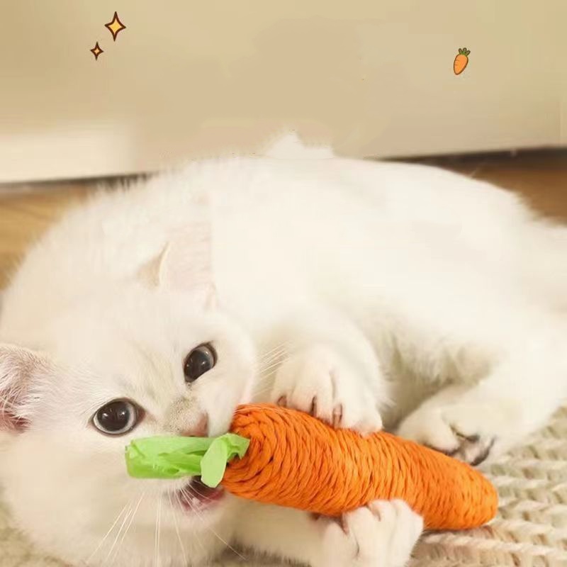Fun Cat Teething Stick Sound C - Snuffle Mat For Dogs recension och pris