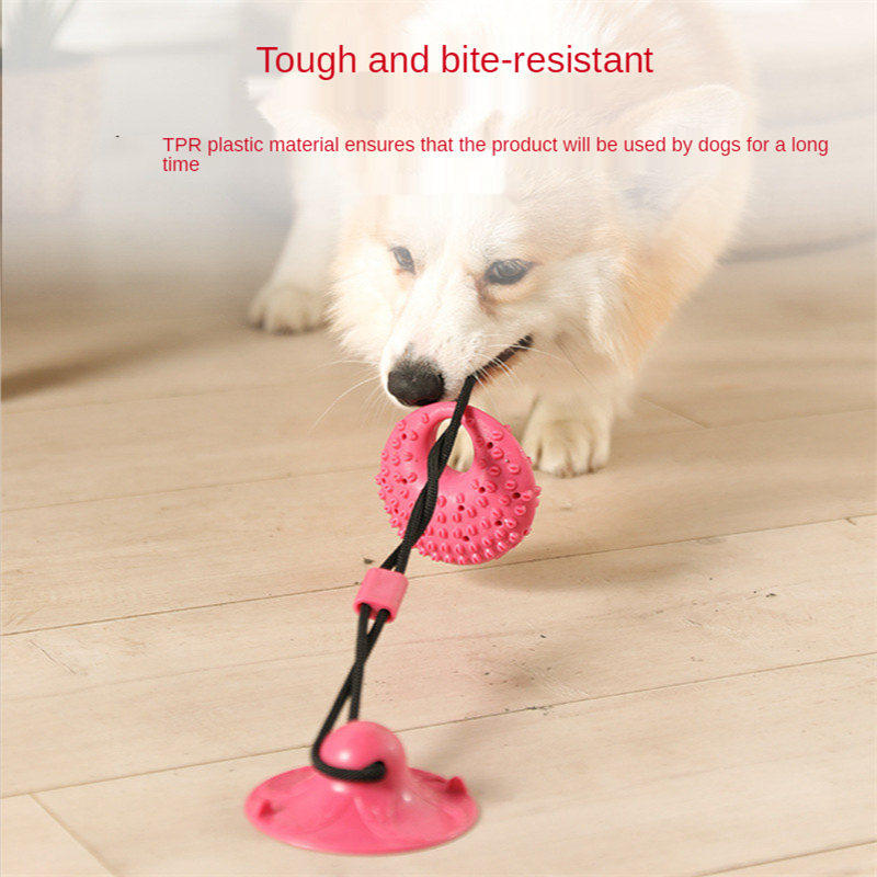 Dog Toys Silicon Suction Cup T - Suction Cup Dog Tug Toy recension och pris