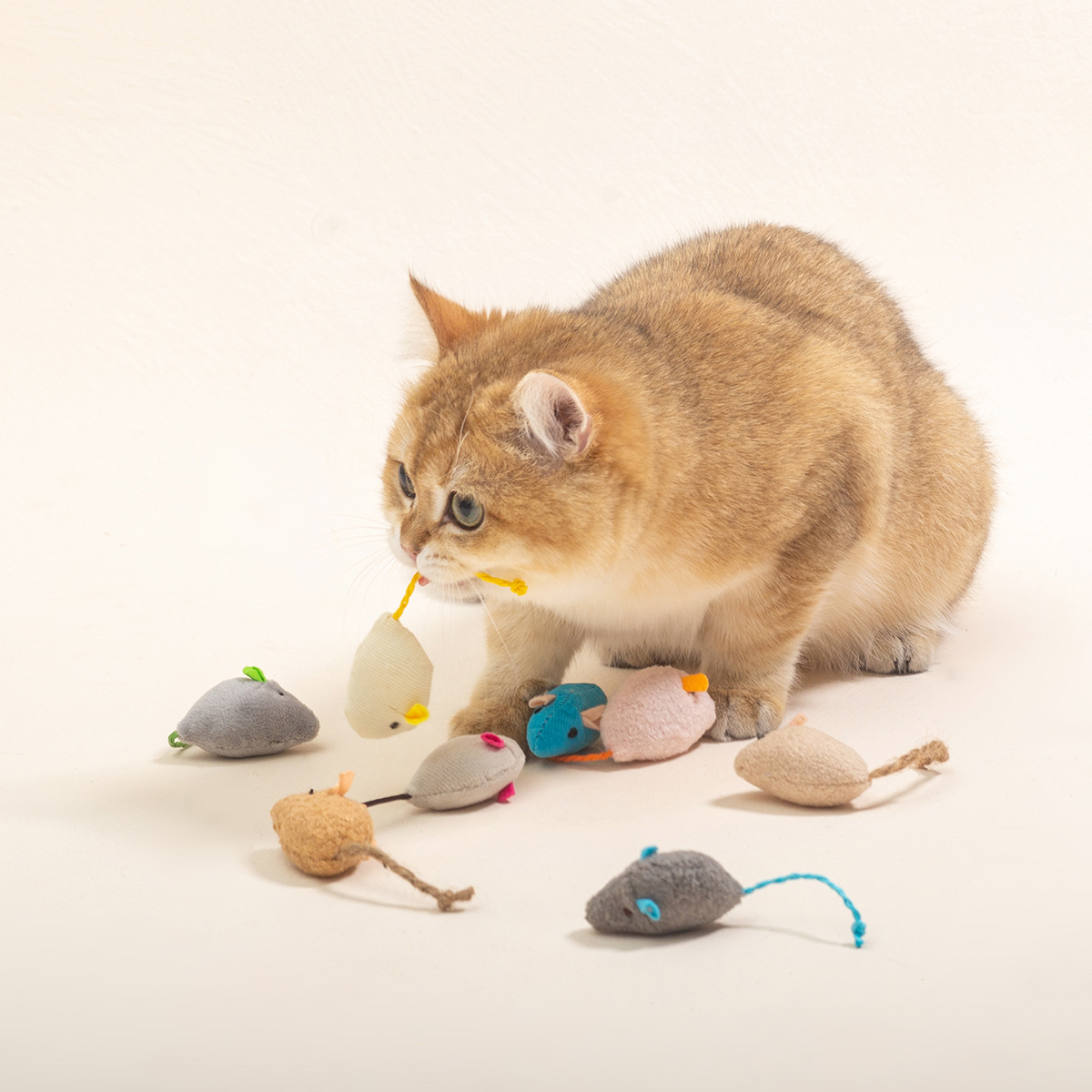 16PCS Interactive Cat Mice Toy - Catnip Interactive Plush Mouse recension och pris