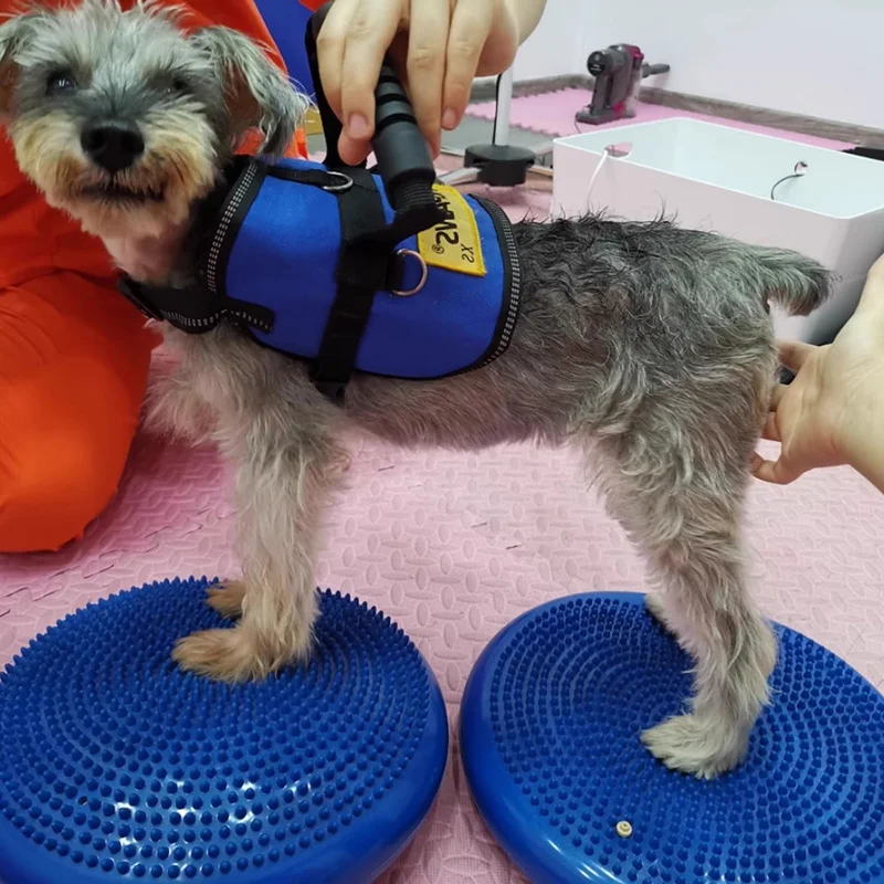Dogs Training Aids Balance Fly - Flying Disc Dog Training Toy recension och pris