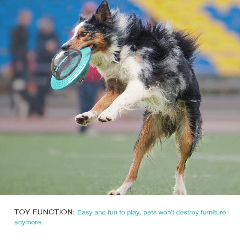 Interactive Design Dog Ball To - Dog Puzzle Feeder Toy recension och pris