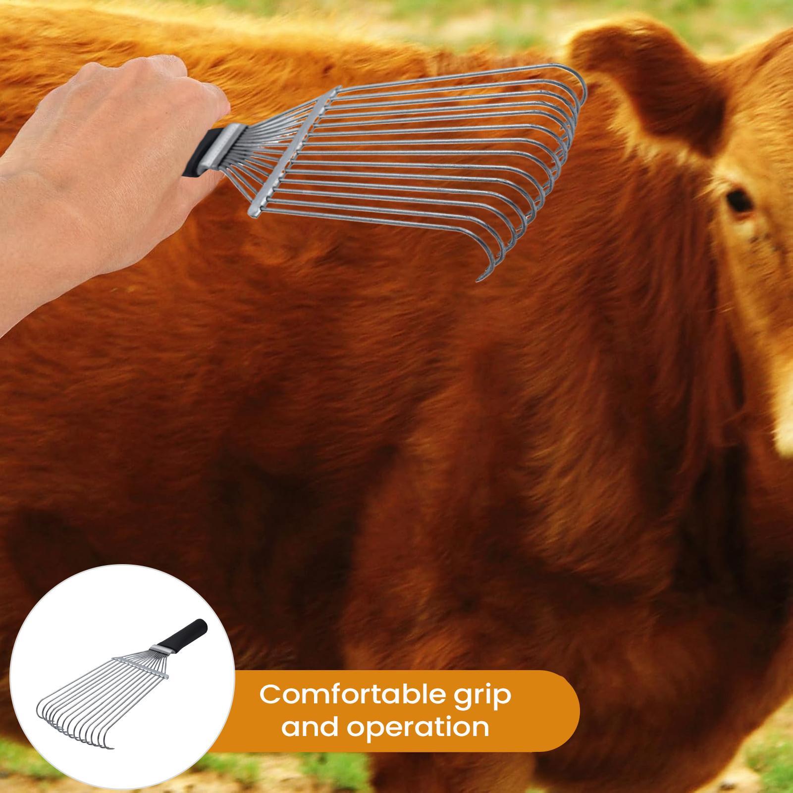 Horse Grooming Rake Shedding B - Pet Grooming recension och pris