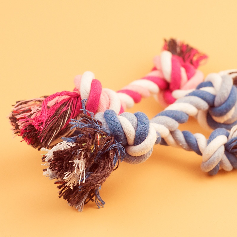 Dog Toy Pet Molar Bite-resista - Interactive Squeaky Plush Dog Toy recension och pris
