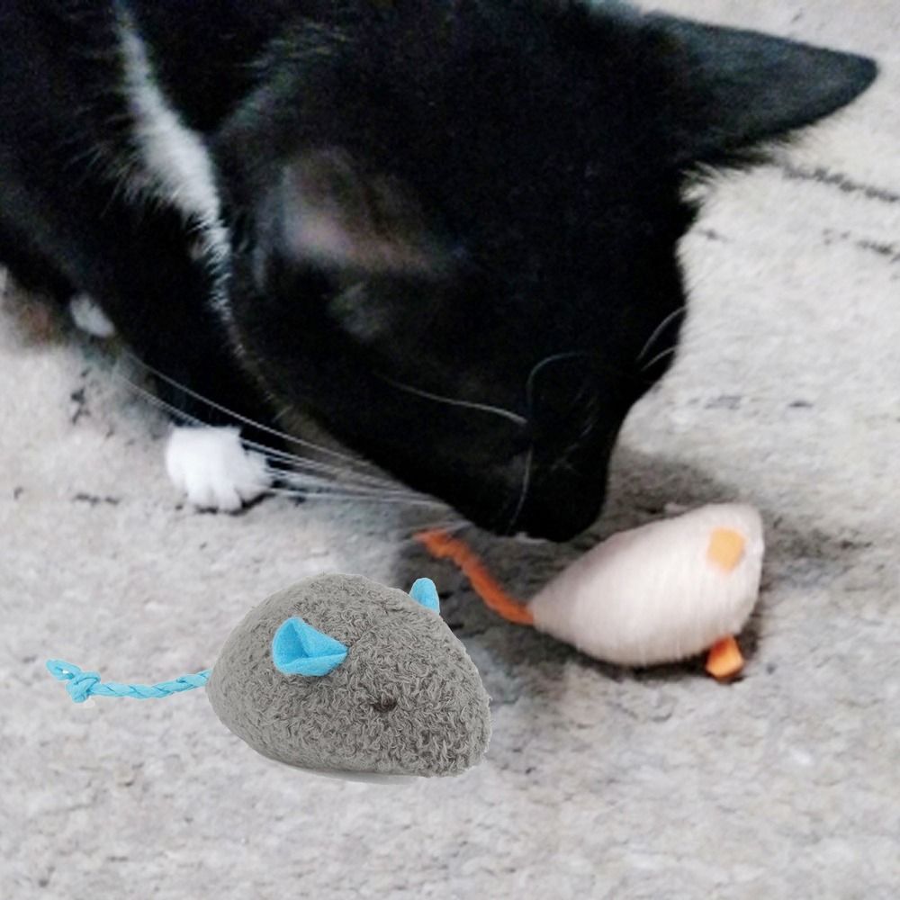 2pcs Funny Plush Soft Interact - Catnip Interactive Plush Mouse recension och pris