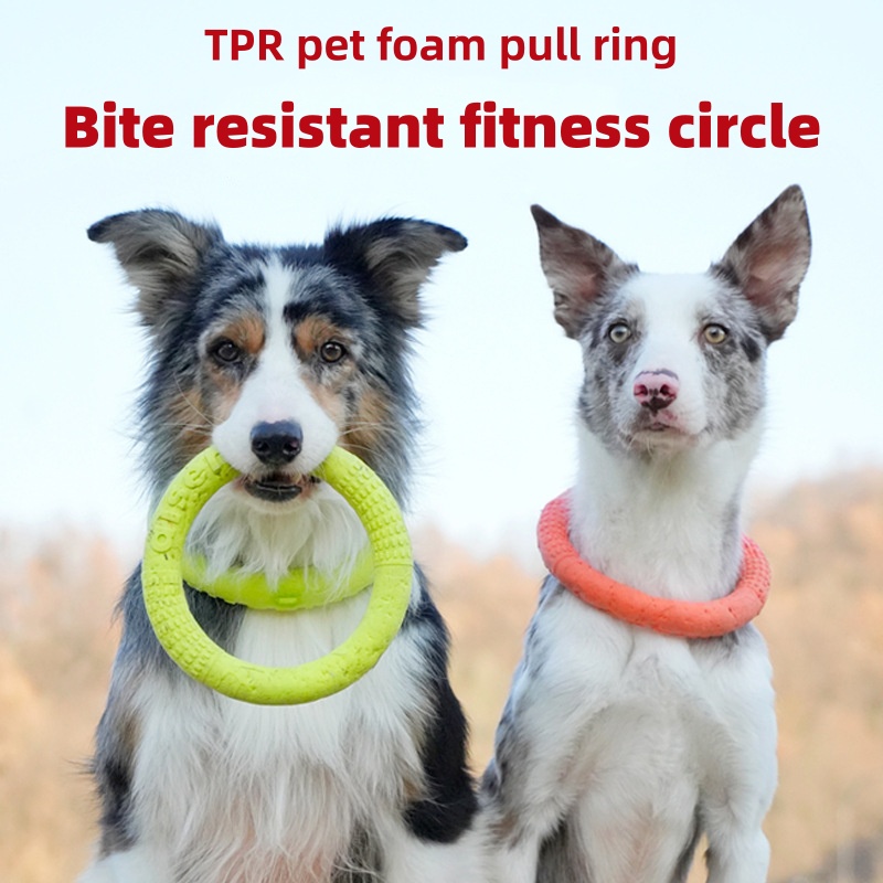 Chew Resistant EVA Dog Flyer W - Flying Disc Dog Training Toy recension och pris