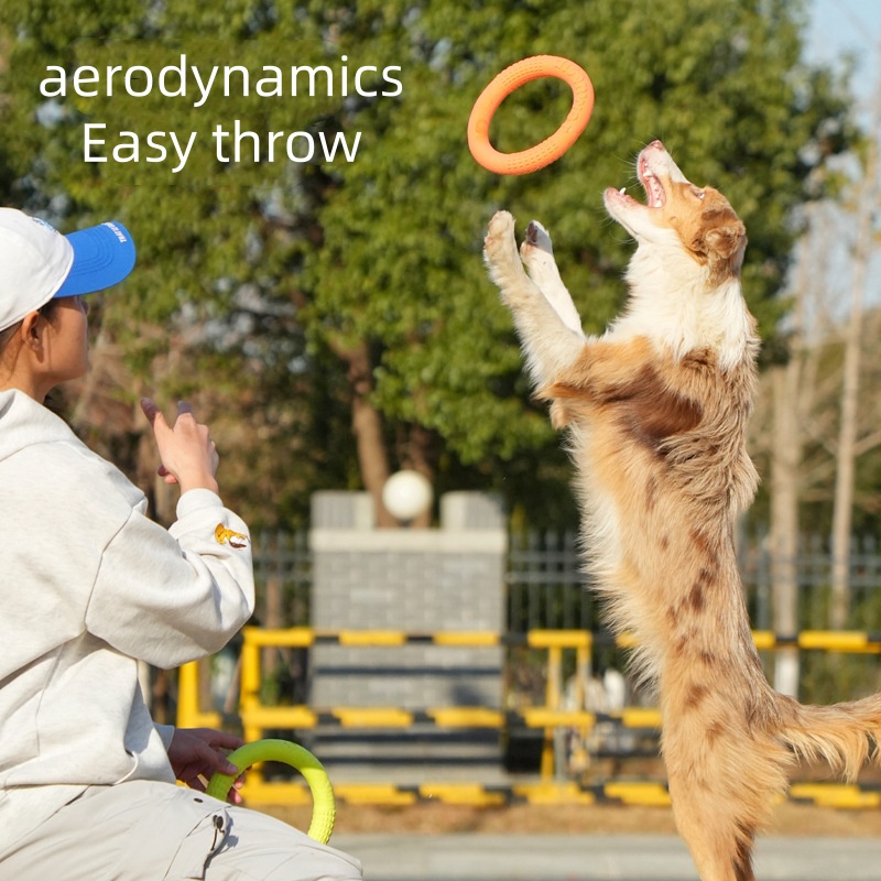 Chew Resistant EVA Dog Flyer W - Flying Disc Dog Training Toy recension och pris