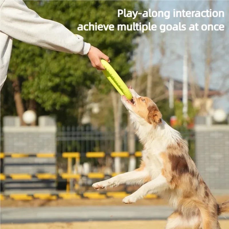 Chew Resistant EVA Dog Flyer W - Flying Disc Dog Training Toy recension och pris