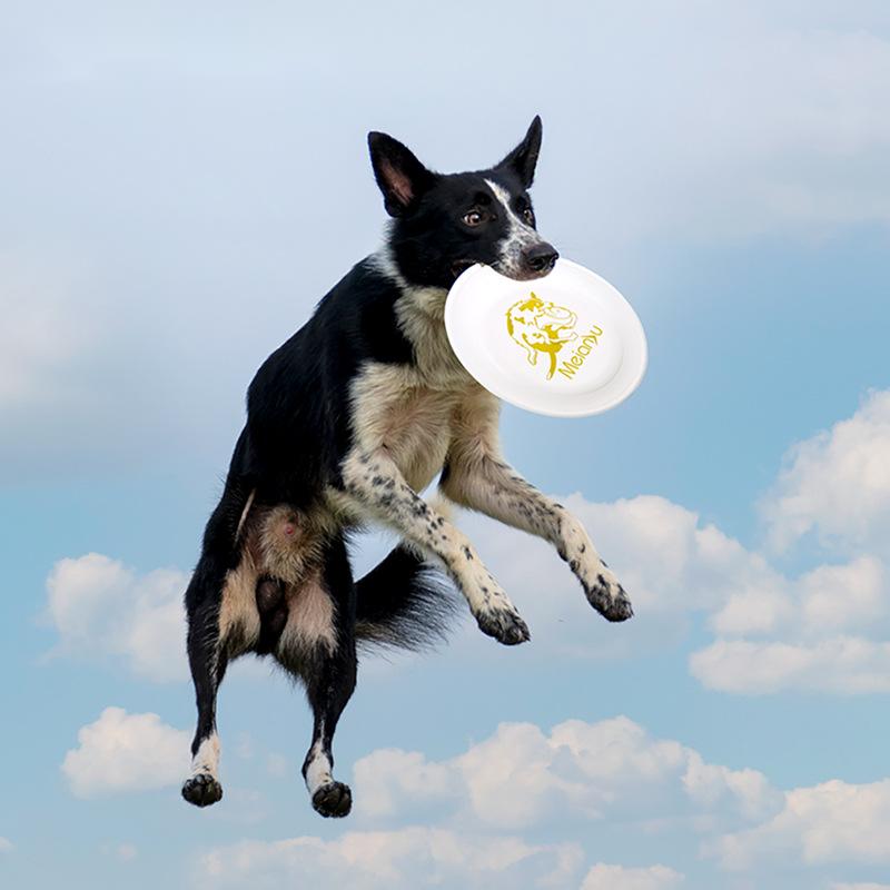 OUZEY Bite Resistant Pet Train - Flying Disc Dog Training Toy recension och pris