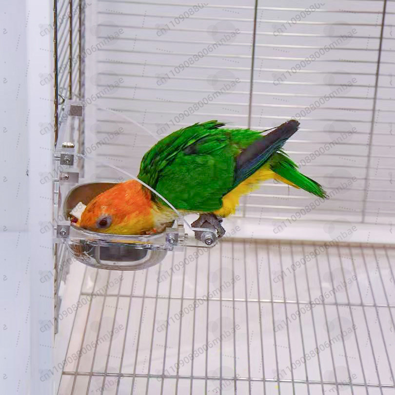 Parrot food box stainless stee - Pet Feeders recension och pris