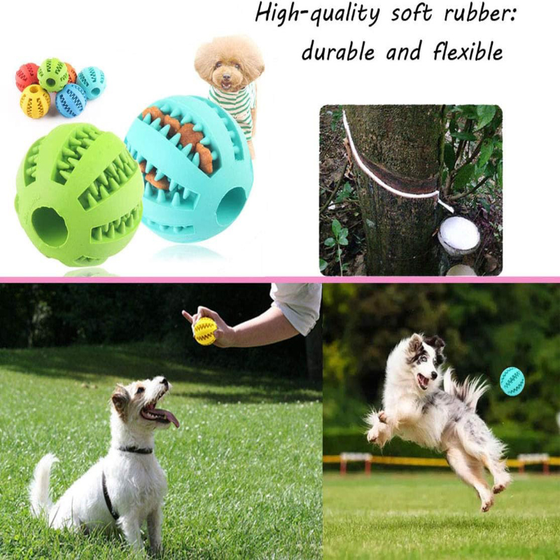 Interactive Nontoxic Bite Resi - Dog Puzzle Feeder Toy recension och pris