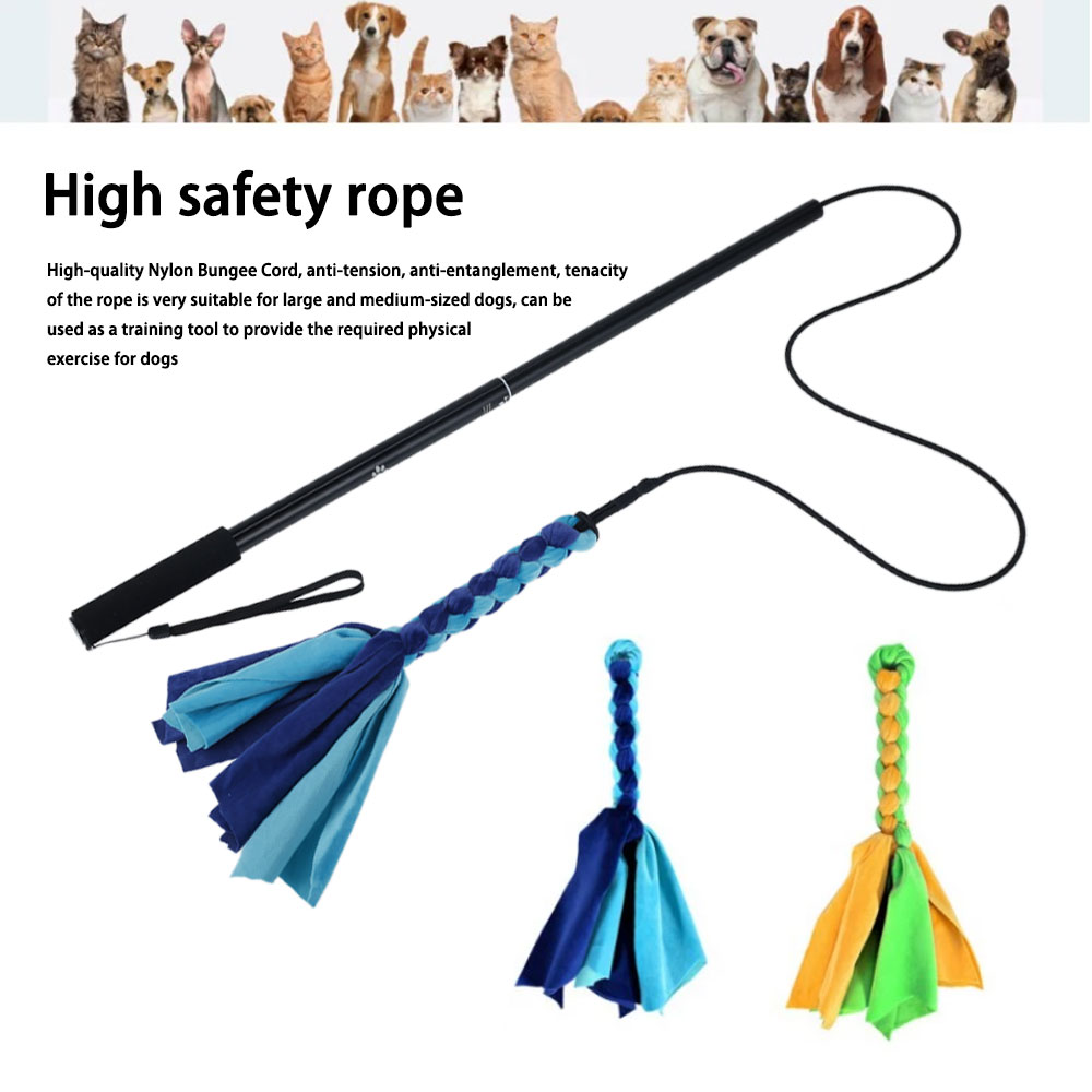Retractable Dog Stick Interact - Interactive Squeaky Plush Dog Toy recension och pris