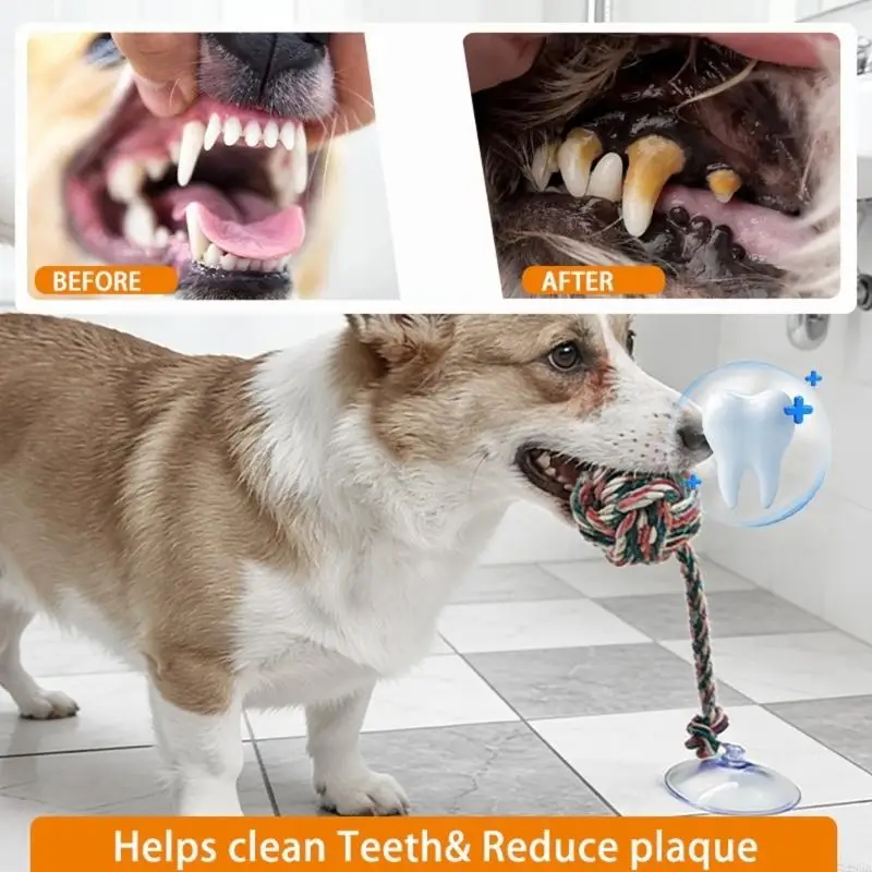 Interactive Dog Chewing Toy Tu - Suction Cup Dog Tug Toy recension och pris