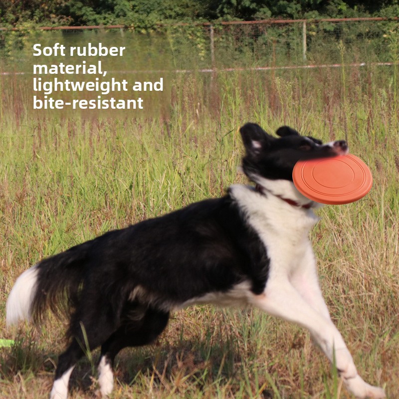 Bite Resistant Floating Soft P - Flying Disc Dog Training Toy recension och pris