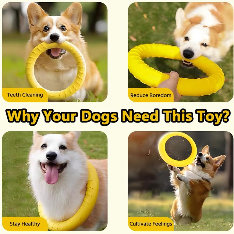 Dog Toys Pet Flying Discs EVA  - Flying Disc Dog Training Toy recension och pris