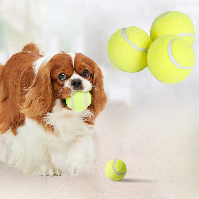 Interactive Striped Rubber Ten - Interactive Squeaky Plush Dog Toy recension och pris