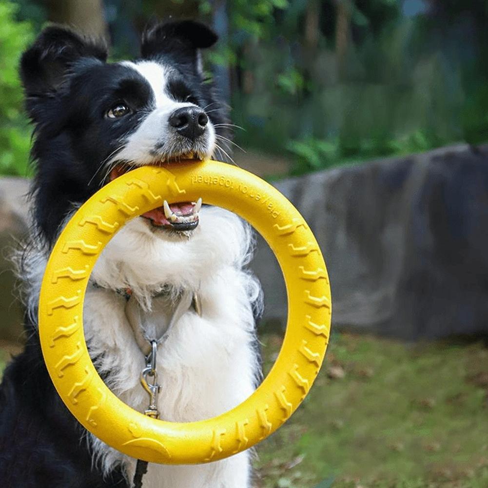 Dog Ring Toys Indestructible C - Interactive Squeaky Plush Dog Toy recension och pris