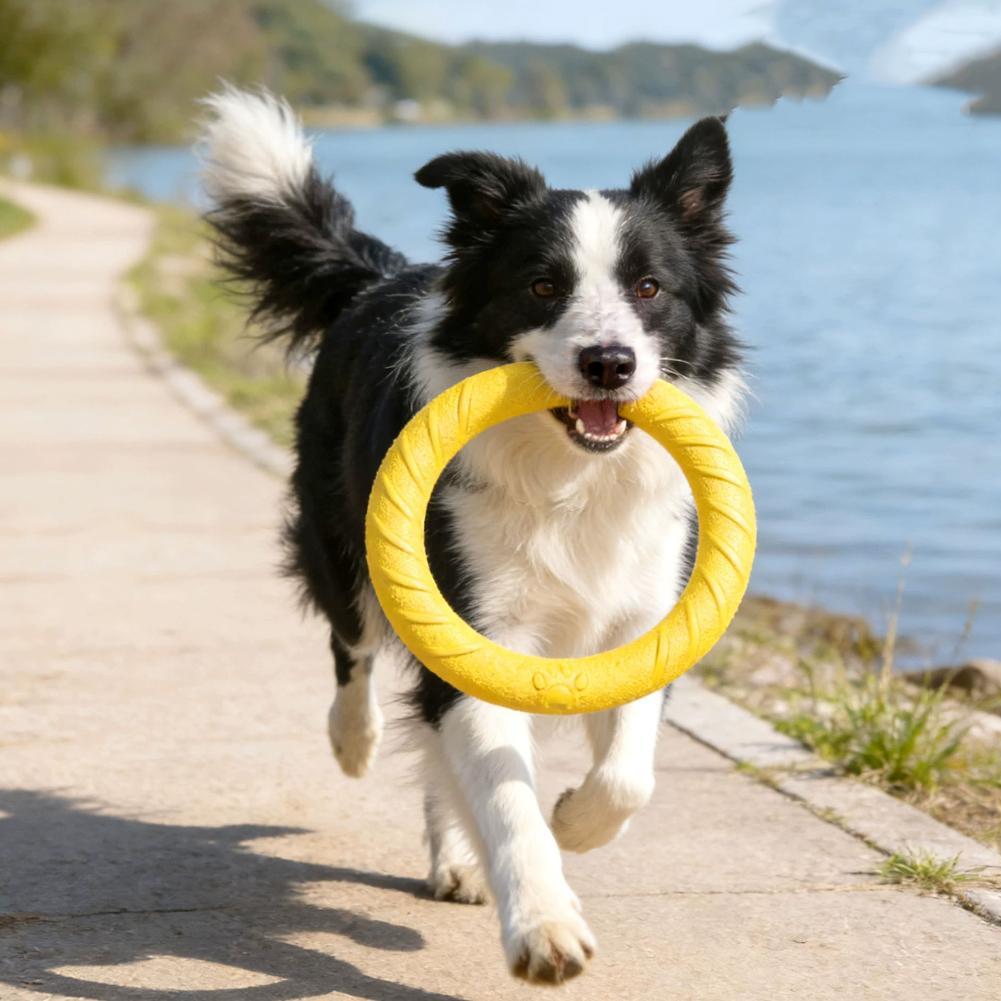 Dog Ring Toys Indestructible C - Interactive Squeaky Plush Dog Toy recension och pris