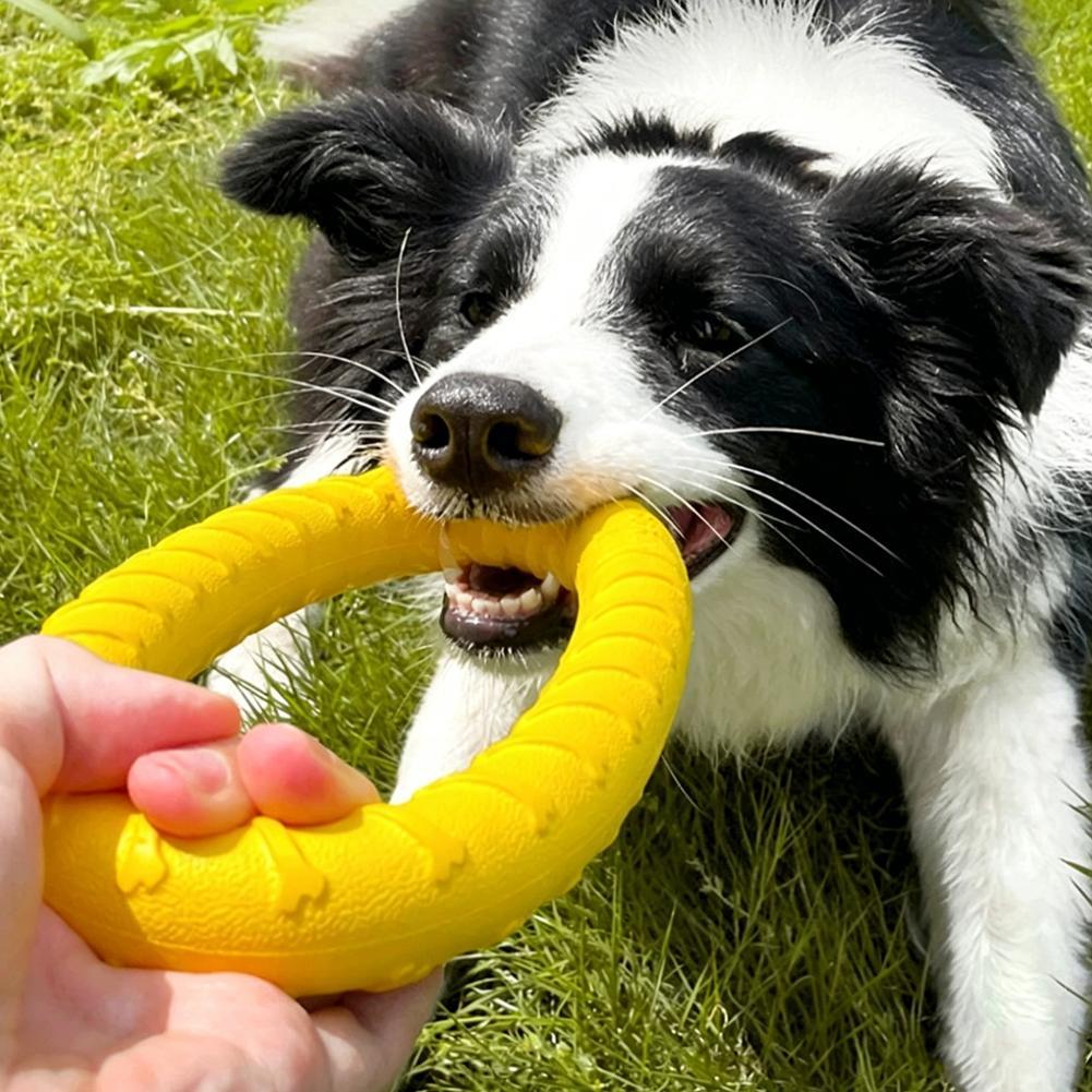 Dog Ring Toys Indestructible C - Interactive Squeaky Plush Dog Toy recension och pris