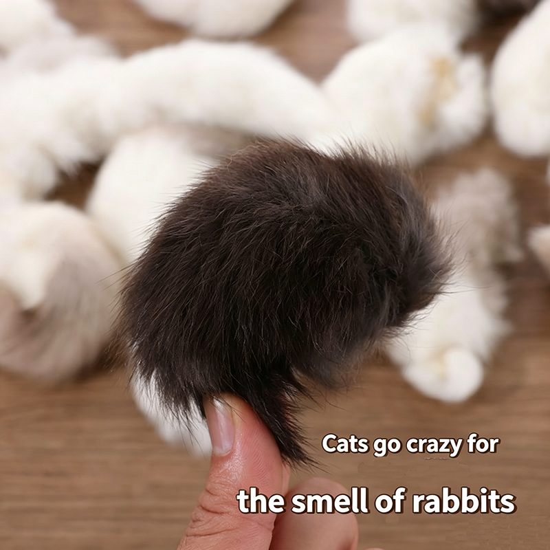 2Pcs Natural Rabbit Tail Cat T - Interactive Squeaky Plush Dog Toy recension och pris