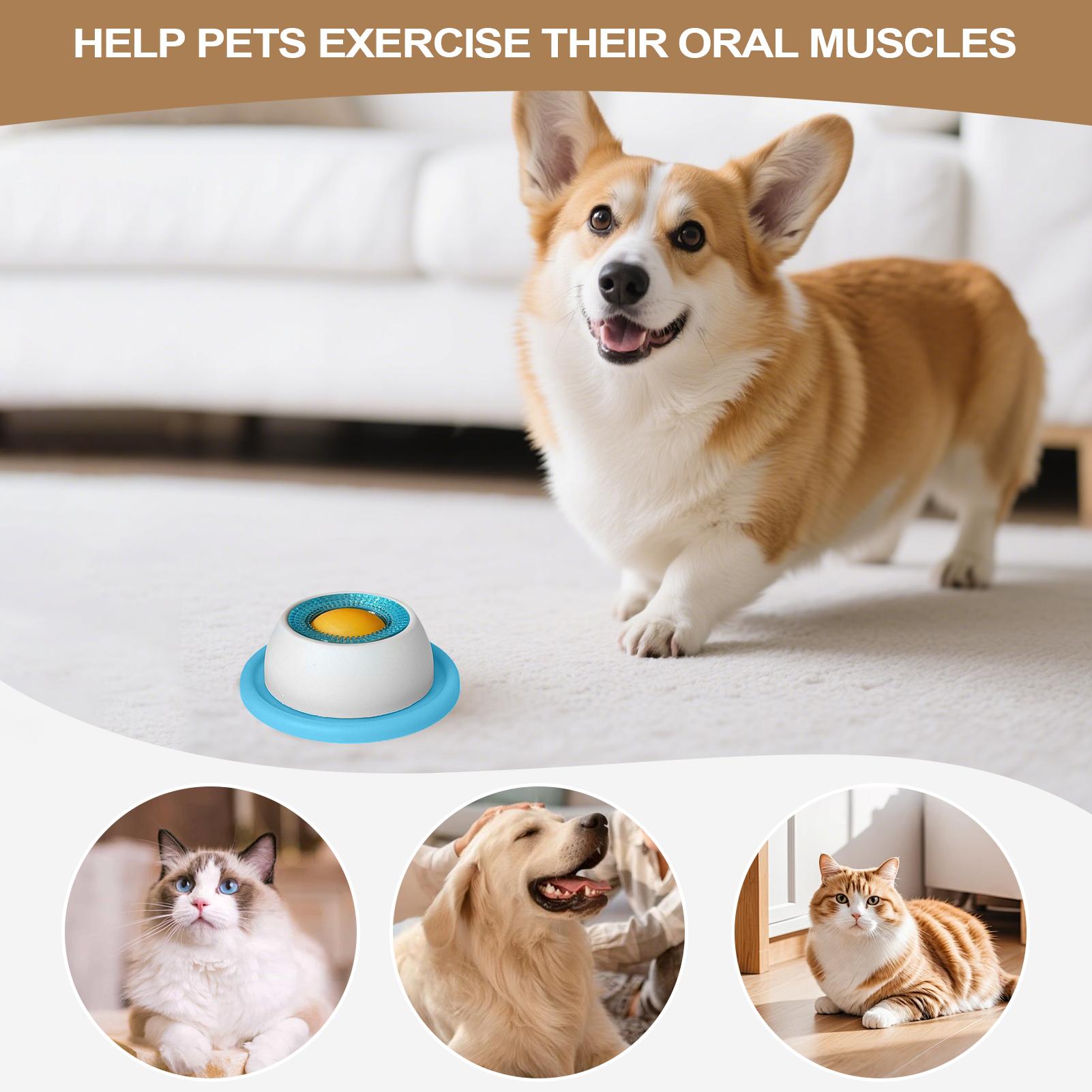 Dog Treat Toy Pet Feeding Acce - Dog Puzzle Feeder Toy recension och pris